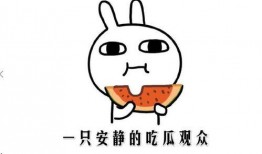 网络吃瓜是什么意思,揭秘虚拟世界中的围观文化