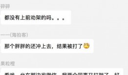 吃瓜群众的视频大全,揭秘娱乐圈幕后故事