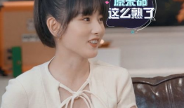 娱乐吃瓜酱cp系列,CP系列深度解析，带你领略明星甜蜜互动背后的故事