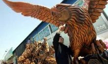 巨根图片,揭秘自然界中的奇特植物现象