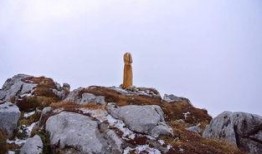 巨根图片,揭秘自然界中的奇特植物现象