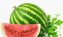 娱乐吃瓜壁纸高清竖屏,一网打尽娱乐圈新鲜事