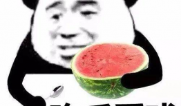 娱乐吃瓜群名叫什么好听,探寻那些独具特色的娱乐吃瓜群名