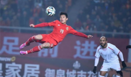 中国的足球明星有哪些,中国足球明星风采掠影
